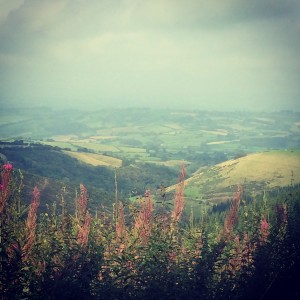 View from Kerry Ridgeway